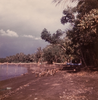 Lovina Beach, Bali, April '82.