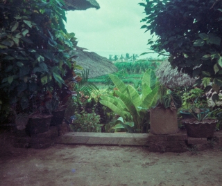 View from my bungalow, Ubud, Bali, April '82.