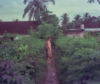 Jackie after the rain, Bali, Jan '82.