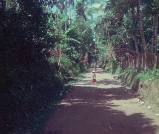 Wandering in the interior, Bali, April '82.