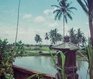 Generic view, Bali, Jan '82.