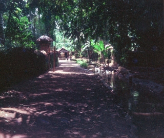 Another beautiful lane, Bali, April '82.