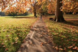 Victoria Park, Autumn 1.