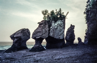 Hopewell Rocks, Bay of Fundy.
