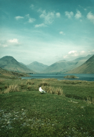 Wast Water. 3.