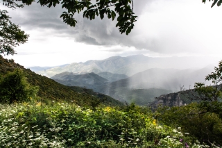 Mountains, Flowers and Storm, Arcadia, Greece, '16.