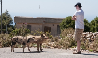 Pigs and Rob, Greece, '16.