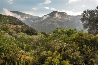 Above Kyparissi, Greece, '16.