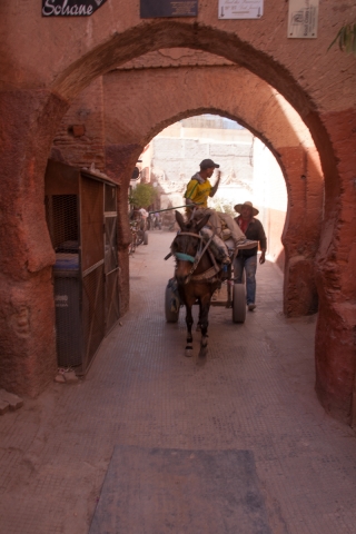 Working Donkey, Souk, Marrakesh, '17.