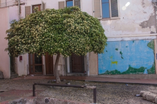 Lipari, Sicily, '18.