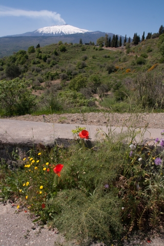 Mt Etna, Sicily, '18.