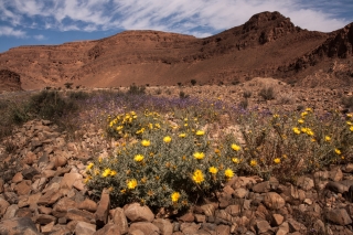 Tata Region, Morocco, '19.