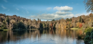 Autumnal Colours, Stourhead.