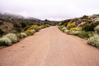 Arid abundance 1, Rodhopou peninsula, Crete, '23.