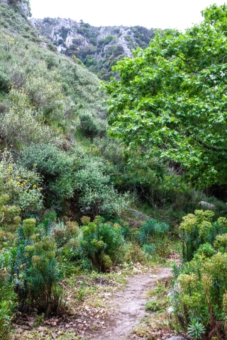 Deliana Gorge, Crete, '23.