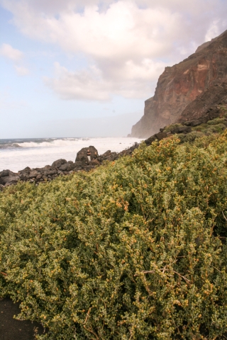 Valle Gran Rey, La Gomera, '16.