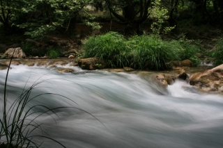 Still Grass/Rushing Stream, Greece, '10.