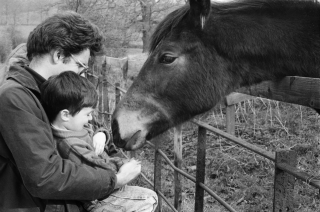 Mike, Rob and Horse.