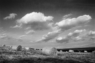 Hay Bales, Cumbria, '96.