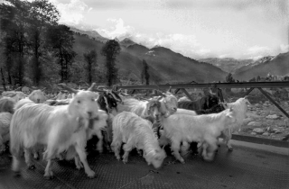 Across the River Beas, India, '01.