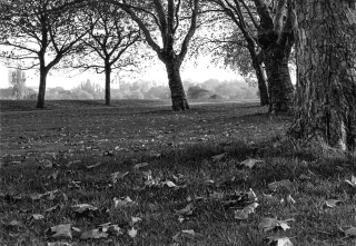 Regents Park, London.