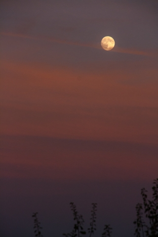 Full Moon, Payzac, France, '14.
