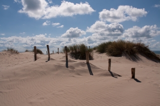Sand Dunes, Carteret, France, '14.