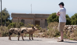 Rob and Pigs, Mountanistika, Greece, '16.