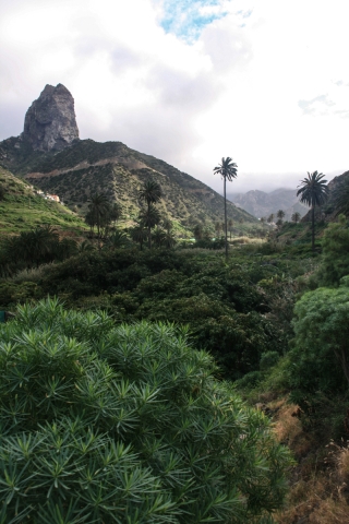 Vallehermosa, La Gomera, Canaries, '14.