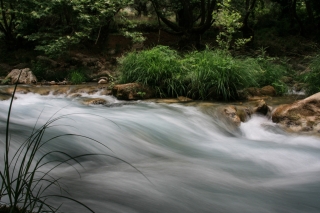 Lousios River, Greece, '10.
