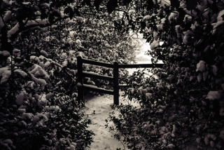 Snow/Stile, Surrey.
