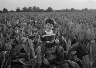Rob in Cabbage Field.