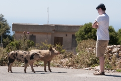 Rob with Pigs, Mountanistika, Greece, '16.