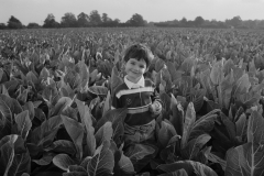 Rob in cabbage field.