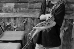 Rob with Python.