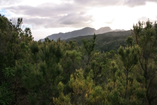 Above Valle Gran Rey, '14.