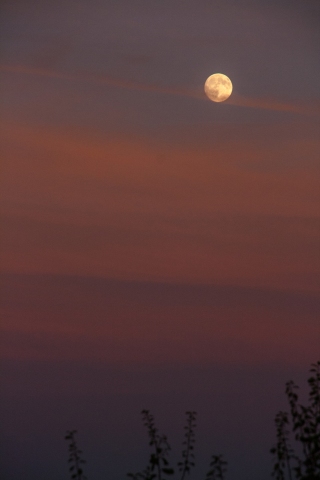 Payzac, Full Moon, '15.