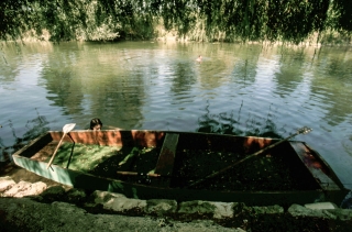 River Charente, France, '09.