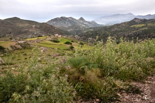 Nr Triopetra, South Coast, Crete, '23.