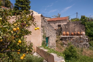 Behind the Church of the Panayia, Meronas, Crete, '23.