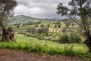 Amari valley, Nr Monastiraki, Crete, '23.