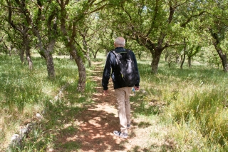 Yash in Oak copse, Minoan cemetery, Armeni, Crete, '23.