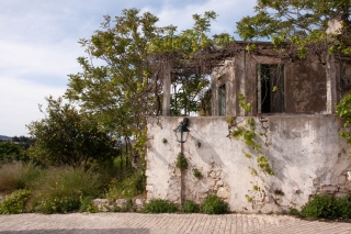 Ripe for development, Margarites, Crete, '23.