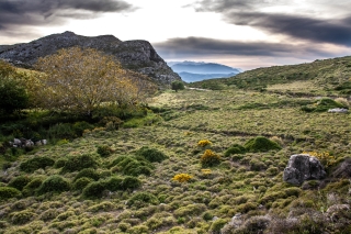 Just look and weep at such beauty...Crete, '23.