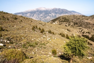 The Lefka Ori range, from Nr Podromi, Crete, '23.