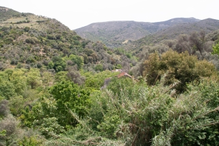 Above the Topolia Gorge, Crete, '23.