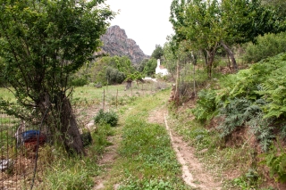 Katsomatadhos church, Crete, '23.