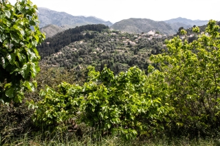 The Lefka Ori Mountains, Nr Lakki, Crete, '23.