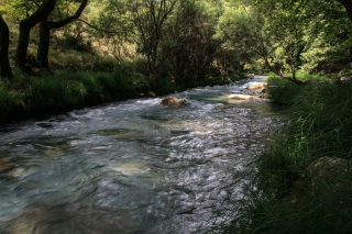 Lousios River, Peloponnese, '10.