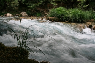 Lousios River, Peloponnese, '10.